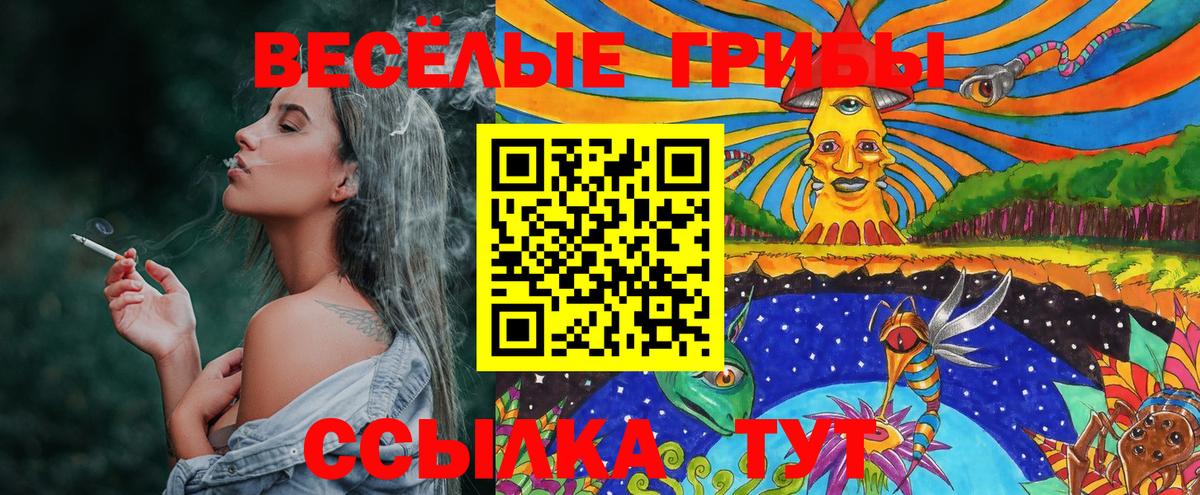 купить наркотик  Вход с VPN  Псилоцибиновые грибы мицелий  Подольск  Галлюциногенные грибы Magic Shrooms 